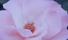 最简短最心酸的一句话