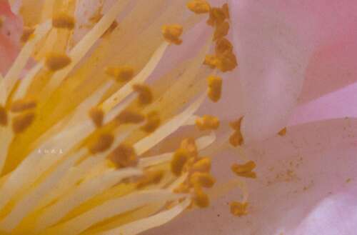 心痛到流血的句子2