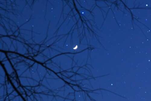 情绪低落和无助的句子