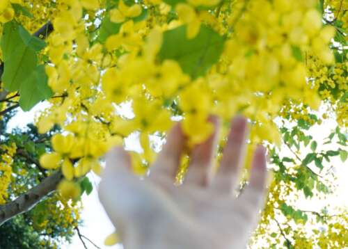 十月你好朋友圈句子1