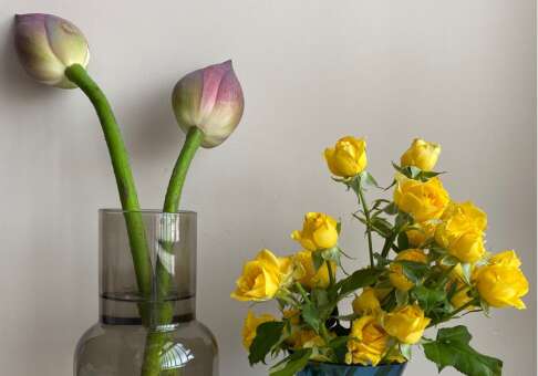 十月的第一天快乐