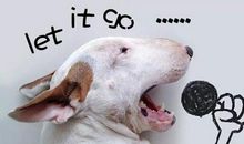 适合情人节单身狗发的说说