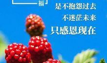 2020说说朋友圈励志