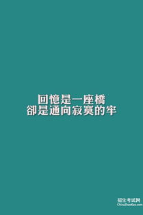 深情的告白声明