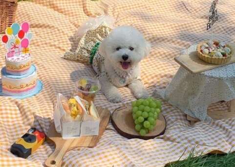 10月2日对我好一点