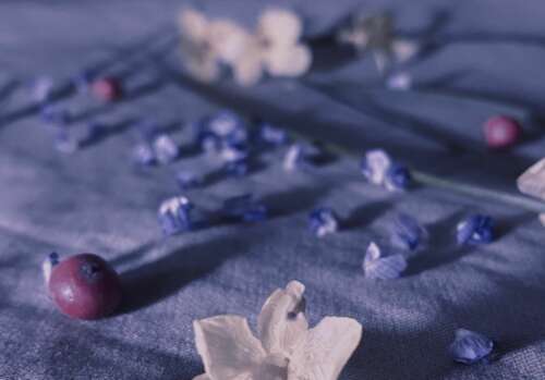 描述10月2日的句子