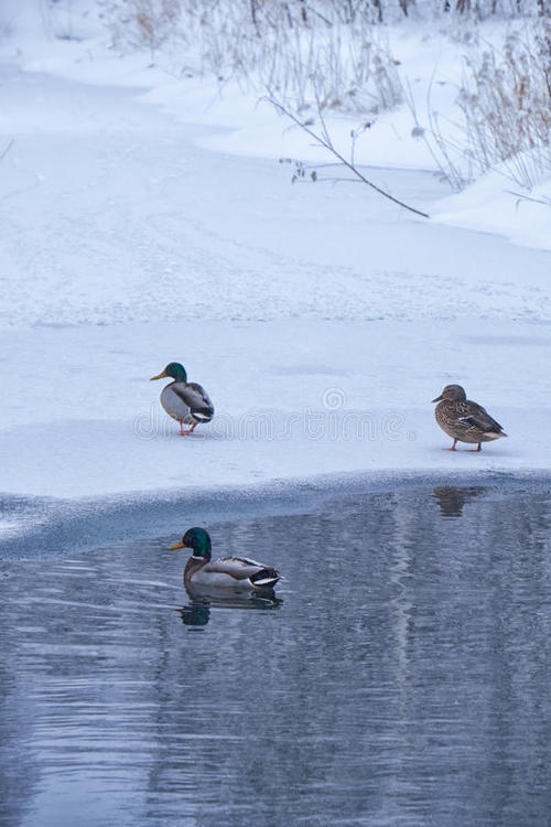 朋友圈冬天的谈话