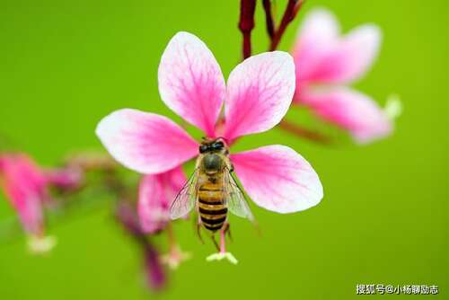 正能量鼓舞人心