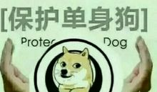 情人节祝福单身狗的话