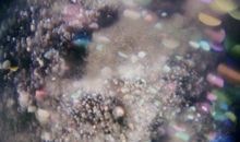 想念却不敢打扰的句子