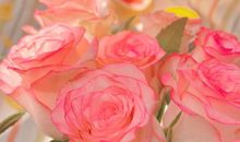 早上吸引朋友圈的正能量句子