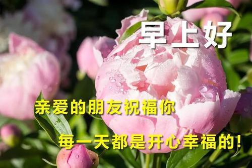 2020年好玩的问候