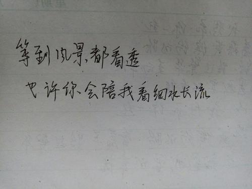 100个字