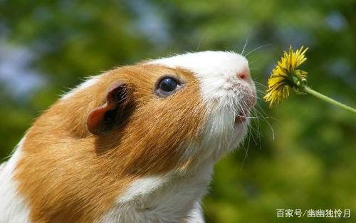 当您不高兴时向您的朋友圈发送一句话