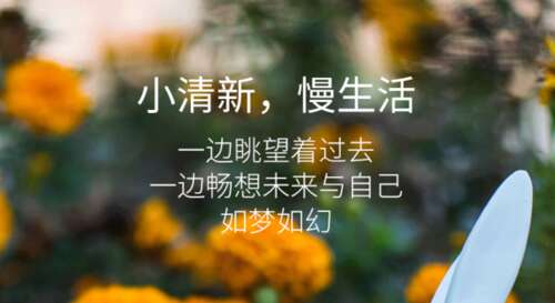 微信谈论最新版《大全2020》