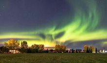 送给家人的新年祝福
