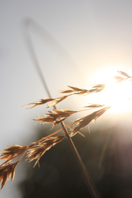 幽默的自我毁灭性句子，使他人感到高兴2幽默的自我毁灭性句子，使他人感到高兴2