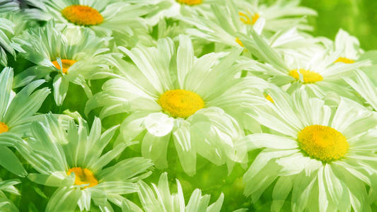 关于家庭感情的无价句子关于家庭感情的无价情感句子1