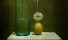 亲情很脆弱的句子 亲情为什么那么脆弱