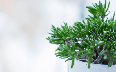 路遥关于家庭感情的一句话路遥经典家庭感情的一句话1