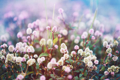 今天快乐的生活句子美丽的心情