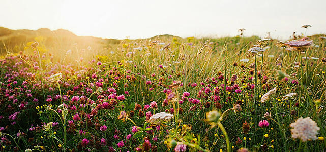 快乐和快乐的句子是什么?如何写快乐的句子