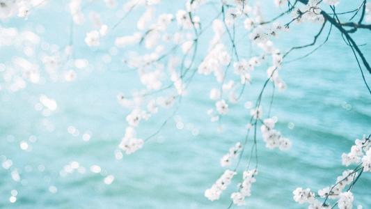 幸福的生活,今天心情愉快的句子1