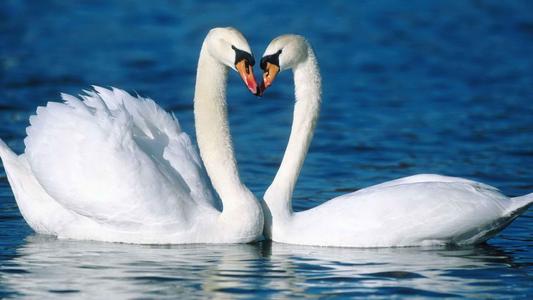 抚摸你的女友的快乐句子抚摸你的女友的快乐句子