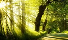 情人间甜蜜开心的句子 甜蜜的情话