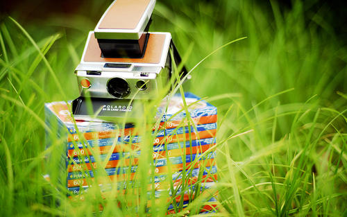 简短的父母感情句子美丽而简短的父母感情句子2