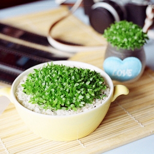 关于家庭感情的句子不断减少