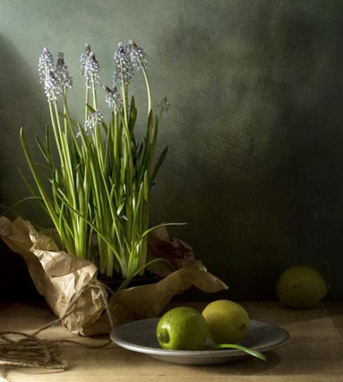 简短的父母感情句子美丽而简短的父母感情句子