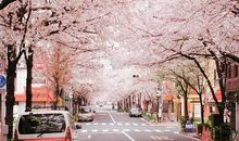 2021新年励志语录