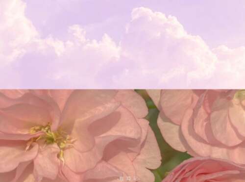 窦音超温柔的文案爱情