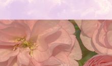 抖音超级温柔的文案爱情