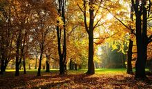 赞美秋天美景的诗句