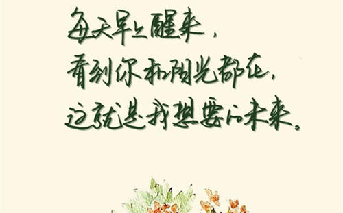 美丽的英语句子爱你