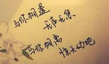 深夜喝酒说说心情短语