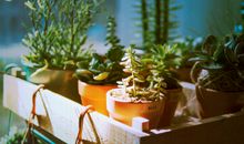 让别人开心的句子 瞬间让别人开心的句子短句