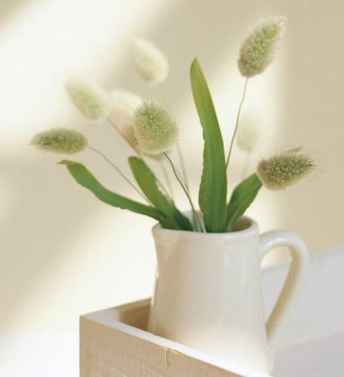 高兴在一起的句子简短的句子和高兴在一起的句子1