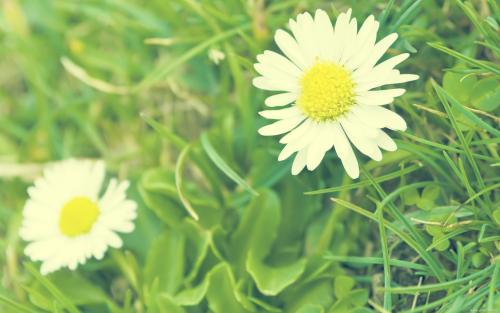 很高兴在一起的句子简短的句子和很高兴在一起的句子2