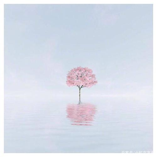 在周末向Moments发送良好的句子