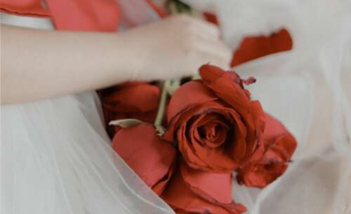 最新版本的2020 Love Story