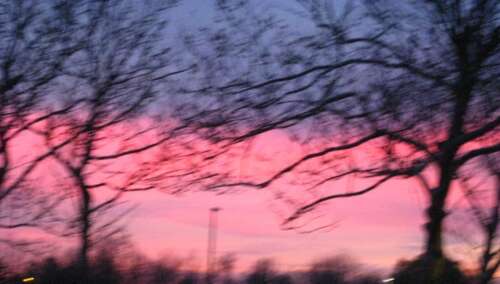 如果见面,请珍惜