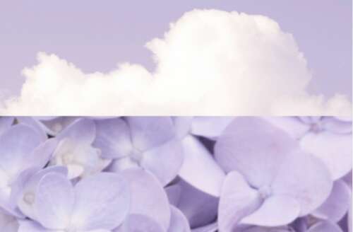 豆阴超级热土爱情故事大全