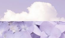 抖音超火土味情话大全