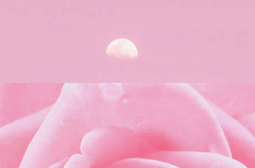 豆阴超级热土爱情故事1