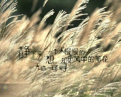 春天的风景句子谈论情绪短语