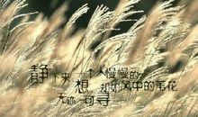 春天风景句子说说心情短语