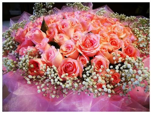 祝老师生日快乐